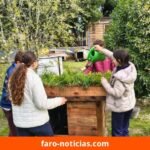 Estudiantes del Colegio Danés erigen refugios con techos vivos para perros del CAAN en Necochea