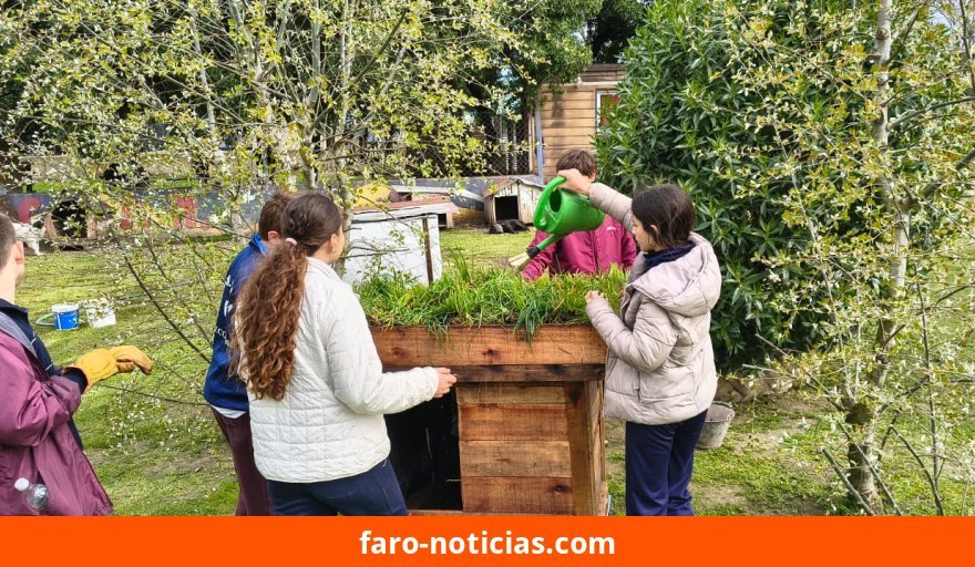 Estudiantes del Colegio Danés erigen refugios con techos vivos para perros del CAAN en Necochea