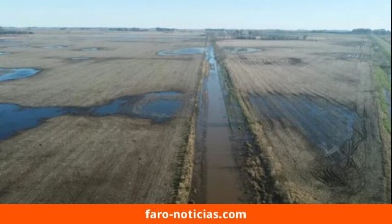 Declaración de emergencia agropecuaria en el sur de Necochea: productores evaluarán su adhesión