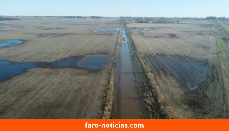 Declaración de emergencia agropecuaria en el sur de Necochea: productores evaluarán su adhesión