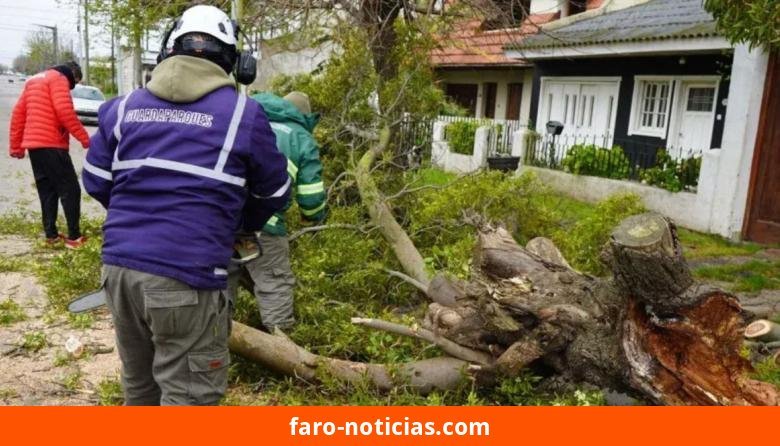 Temporal en Necochea: evacuaciones, caída de postes y cortes de energía tras vientos de 54 km/h