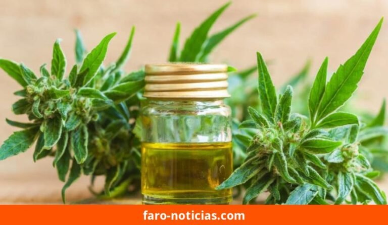 Mediterps ofrece charla gratuita sobre cannabis medicinal y acceso al REPROCANN en Necochea