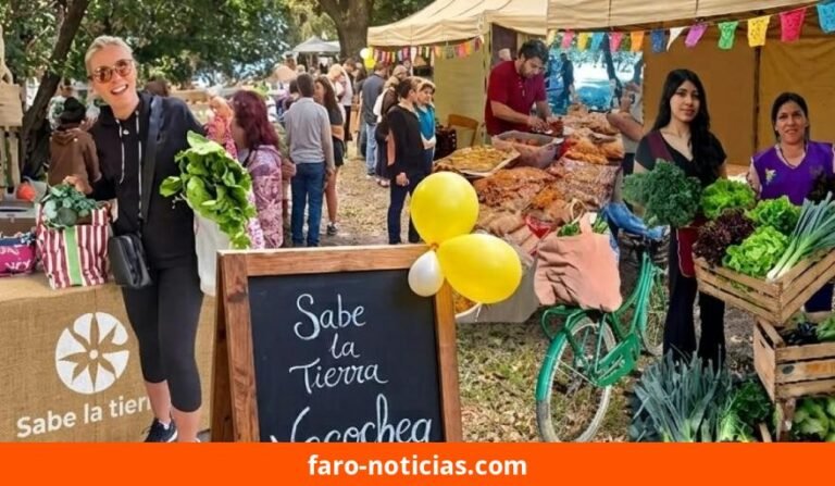 Sabe la Tierra regresa al Parque Miguel Lillo este 3 de octubre con feria y taller gratuito de cactus