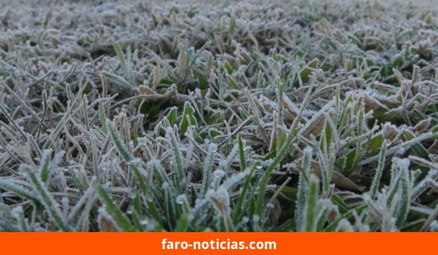 Necochea: mañana bajo cero y máxima de 14 grados el lunes 14 de septiembre
