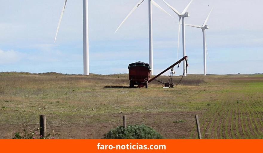 Pronóstico del tiempo para Necochea este jueves 24 de septiembre: temperaturas templadas y viento moderado