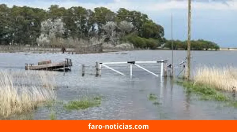 El Niño 2027: riesgos para la región y la Pampa Húmeda según la OMM y el SMN