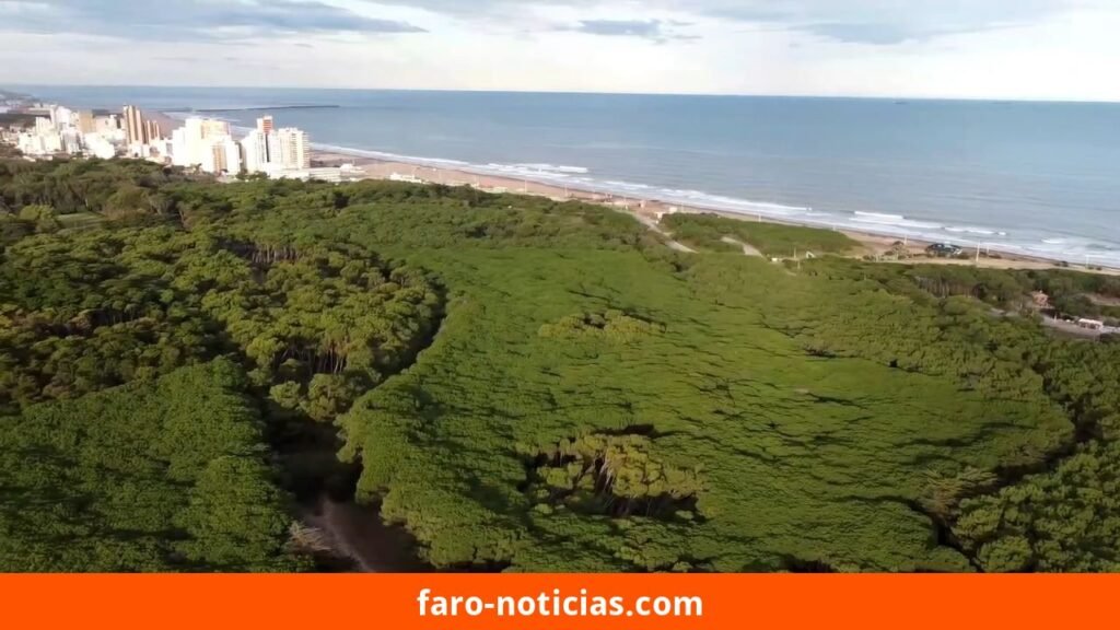 Primavera anticipada: clima favorable en las costas de Necochea y Quequén el 17 de septiembre