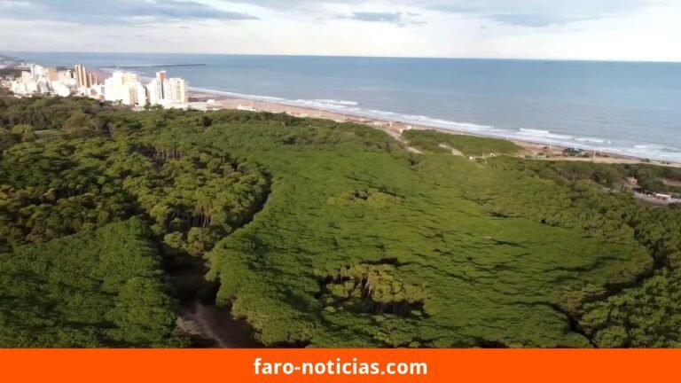 Primavera anticipada: clima favorable en las costas de Necochea y Quequén el 17 de septiembre