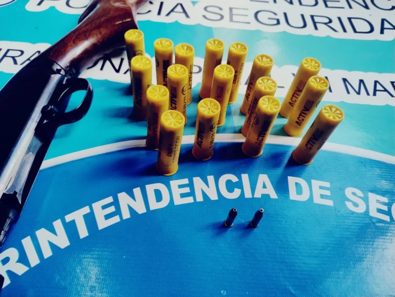 Secuestran arma y municiones en control vial de la Ruta 86 en Necochea