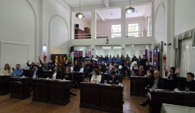 Concejo Deliberante aprueba emergencia económica y operativa del transporte público por 150 días