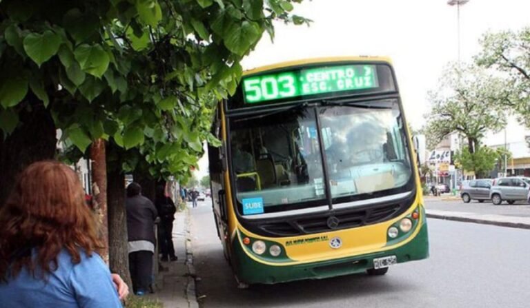 El Ejecutivo municipal prorroga 150 días la concesión de colectivos para evitar interrupciones en Necochea y Quequén