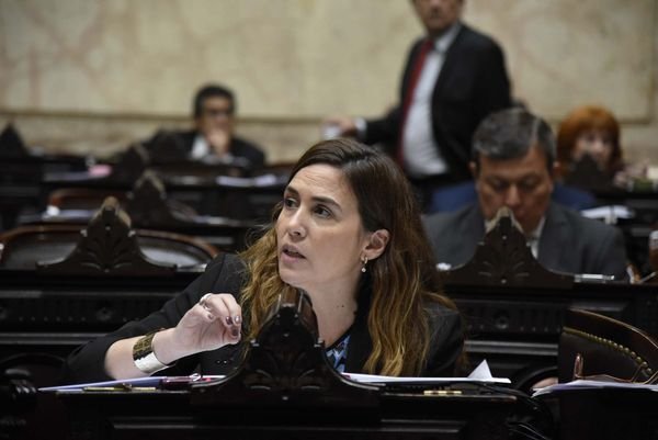 Intendentes y legisladores preparan amparos tras eliminación de Zona Fría