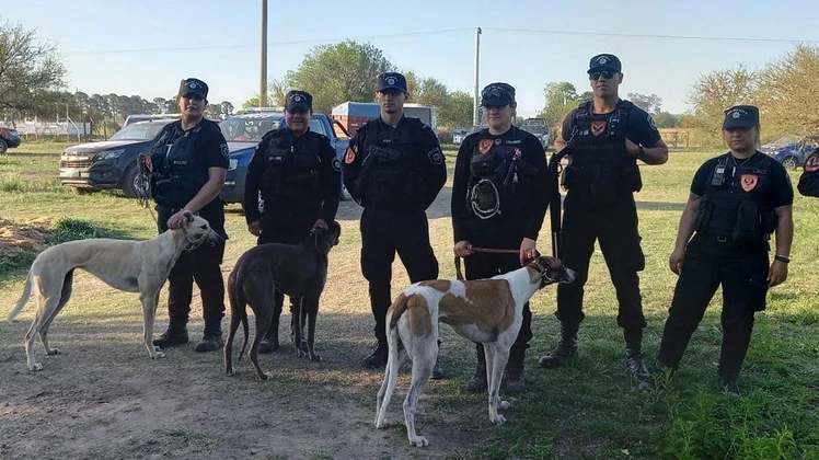 Rescatan a 32 galgos y detienen a cuatro personas en un allanamiento en la ruta nacional 3, km 102