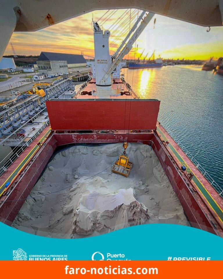 Actividad portuaria de Quequén y Necochea: exportaciones de soja, girasol y descargas de fertilizantes en la primera semana de octubre