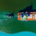 Exportaciones de maíz y granos desde el puerto de Quequén impulsan la economía local