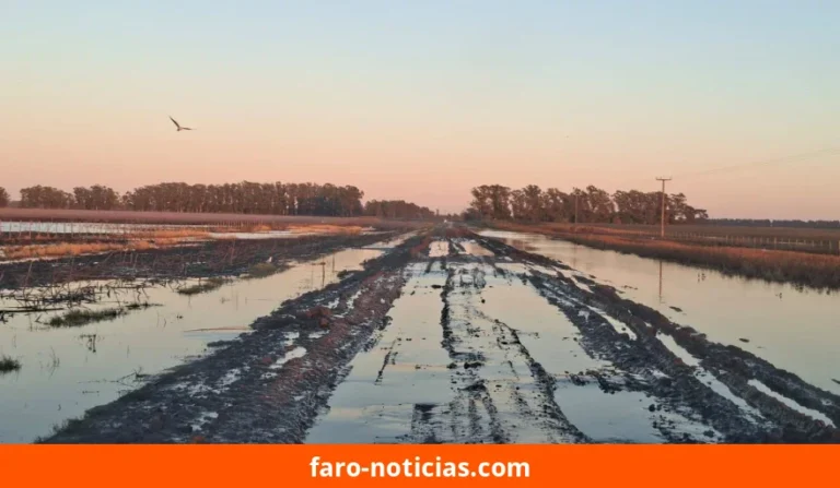 Alerta de la Cámara de Portuarias: riesgo de pérdida de 1 millón de toneladas y 413.000 millones de pesos en Necochea