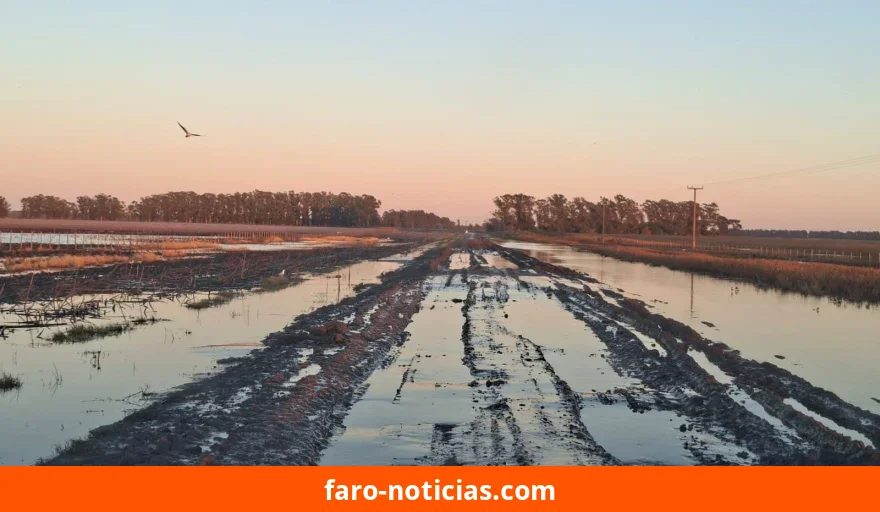 Alerta de la Cámara de Portuarias: riesgo de pérdida de 1 millón de toneladas y 413.000 millones de pesos en Necochea