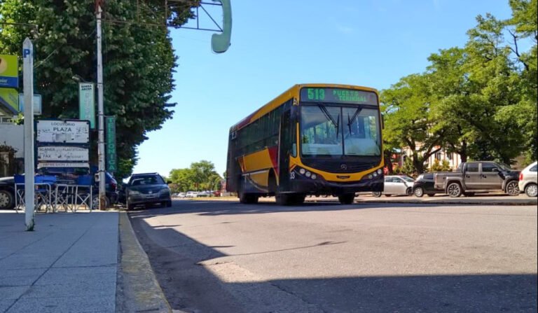 Colectivos en Necochea y Quequén: reducción de flota mínima a 16 unidades