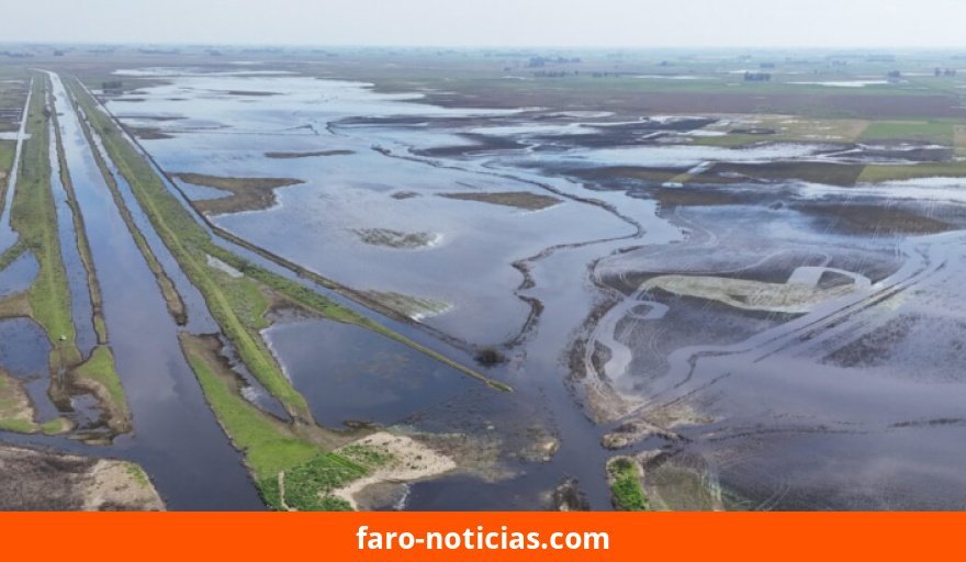Alerta de la Cámara sobre riesgo de pérdida de un millón de toneladas y $413.000 millones en Necochea y Quequén