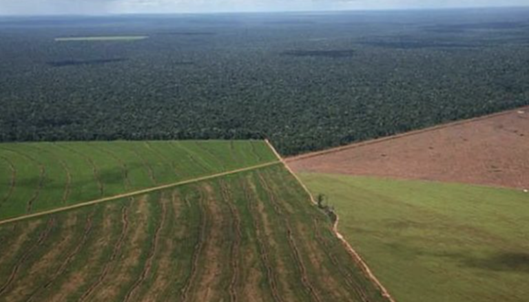 El oficialismo dictaminó la restitución de la Ley de Tierras y busca frenar el rechazo al DNU de Milei