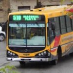 Colectivos en Necochea: pliego definitivo incluye cupo de mujeres choferes, GPS y garantías laborales