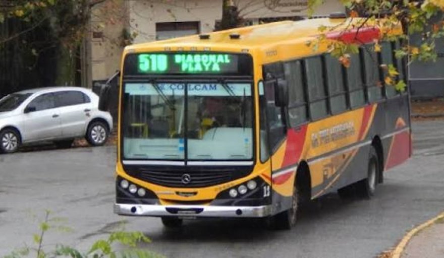 Colectivos en Necochea: pliego definitivo incluye cupo de mujeres choferes, GPS y garantías laborales