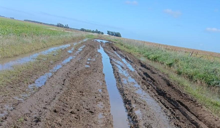 Nueva ley bonaerense permite reasignar fondos de caminos rurales a obras hidráulicas y genera debate en Necochea