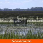 Gobierno Nacional declara emergencia agropecuaria en Necochea y Nueve de Julio
