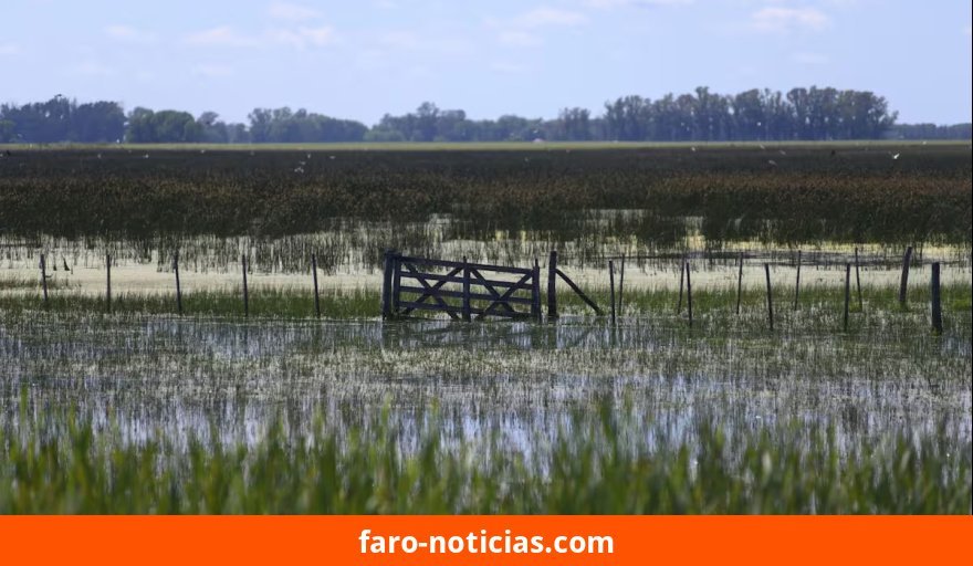 Gobierno Nacional declara emergencia agropecuaria en Necochea y Nueve de Julio