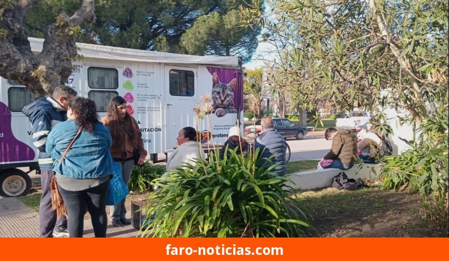 Castraciones gratuitas en Quequén: el quirófano móvil sigue operando durante noviembre