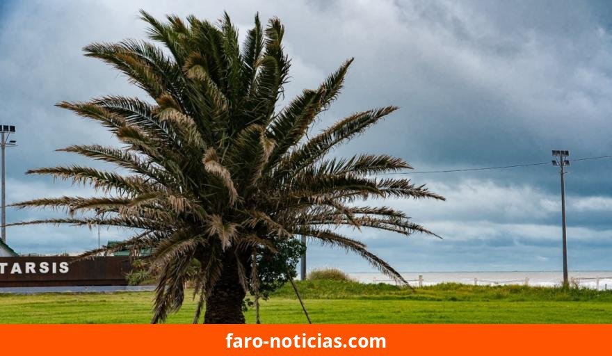 Pronóstico del tiempo para Necochea y Quequén este domingo 11 de octubre: lluvias aisladas y máxima de 14°C