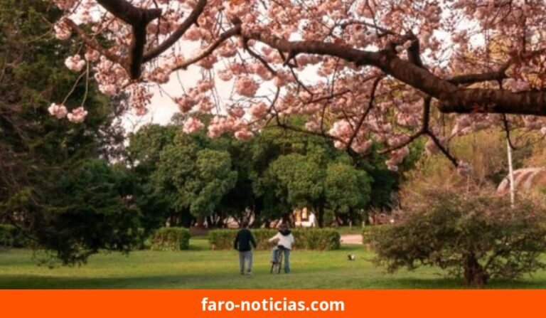Viernes fresco y ventoso en Necochea y Quequén: ráfagas de hasta 50 km/h