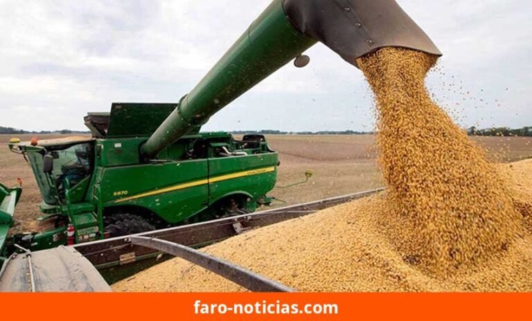 Agroexportación: sector registra ingresos de U$S 3.228 millones en septiembre de 2026