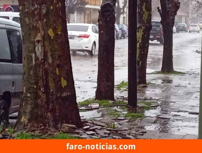 Pronóstico del tiempo para el viernes 10 de octubre en Necochea y Quequén