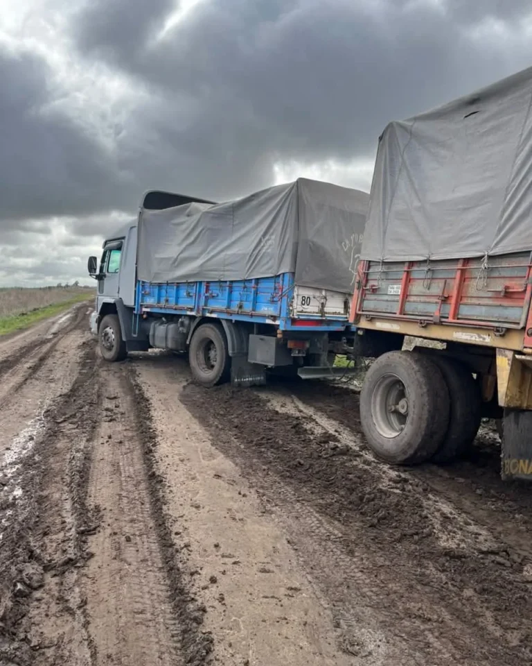 Municipalidad de Lobería multó a dos camioneros por daños a caminos rurales