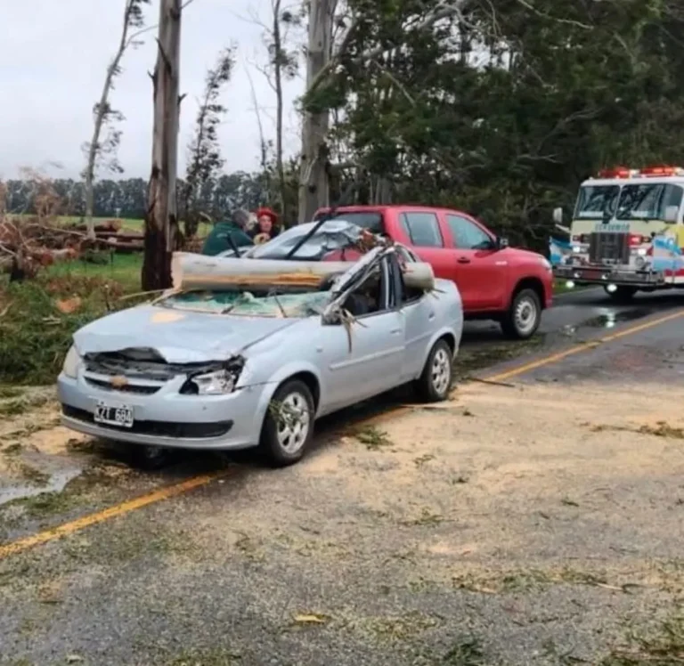 Un auto chocó contra un árbol caído en la Ruta 74 tras el temporal