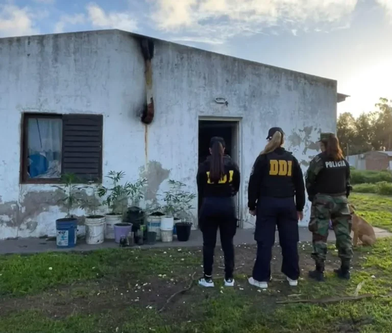 Operativo policial en Necochea culmina con la imputación de dos hombres por robos agravados y abigeato