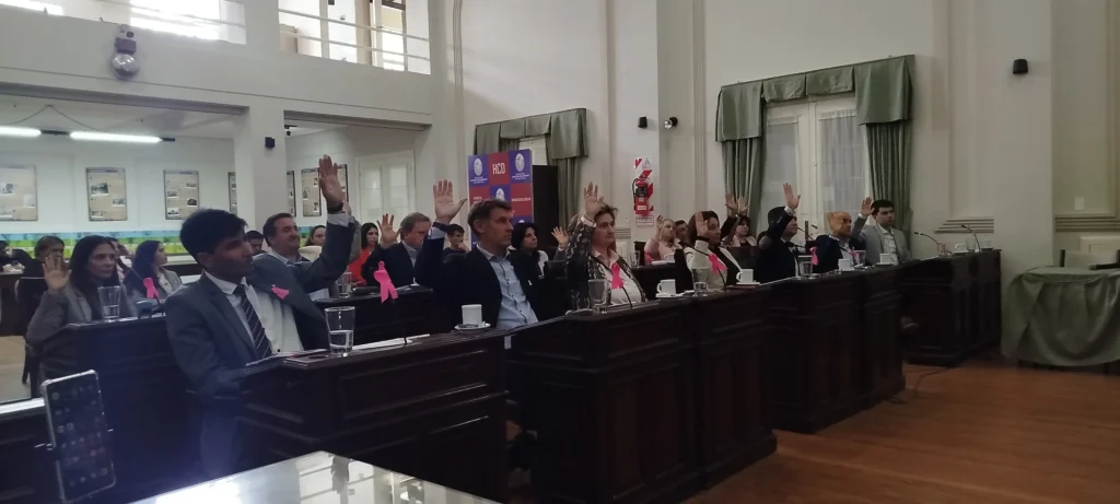 Concejo Deliberante aprueba por unanimidad nuevo pliego para licitar el transporte público de Necochea