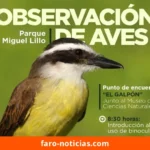 Reprograman la salida de observación de aves al Parque Miguel Lillo para el domingo 25 de octubre
