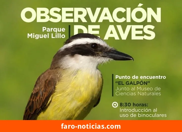 Reprograman la salida de observación de aves al Parque Miguel Lillo para el domingo 25 de octubre
