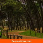 Pronóstico del tiempo para jueves 22 de octubre en Necochea y Quequén: temperaturas y vientos
