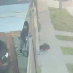 Buscan una bicicleta sustraída a un nene de 9 años en el Barrio Los Tilos 5