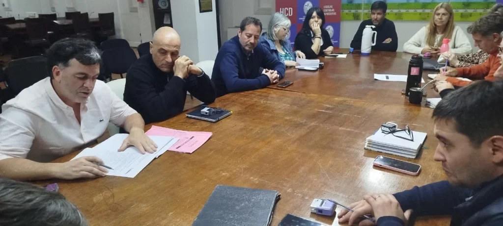 Concejo Deliberante avanza en la propuesta de renombrar la calle 528 como Momo Venegas