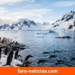 Antártida: impulsan la creación de un Área Marina Protegida de 456.000 km² para proteger la fauna austral
