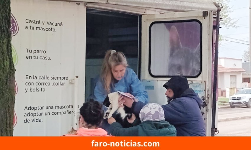 Más de 30 mascotas fueron castradas en el operativo del CAPS Estación Quequén