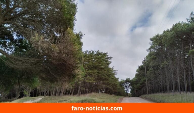 Necochea y Quequén: lunes 5 de octubre con máxima de 20°C y tormentas aisladas en la tarde