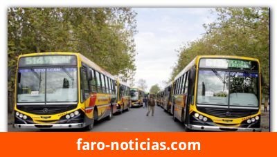 Necochea: avanza el pliego del transporte público con nuevos controles y recorridos