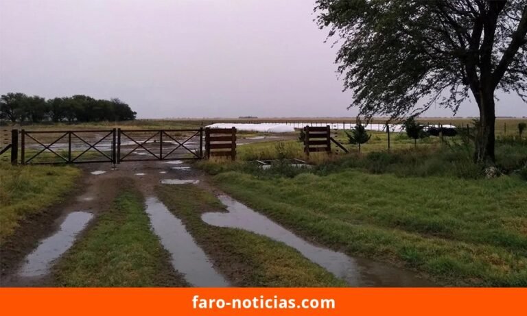 Registro de lluvias en Necochea y la región: La Dulce lidera con 23 mm