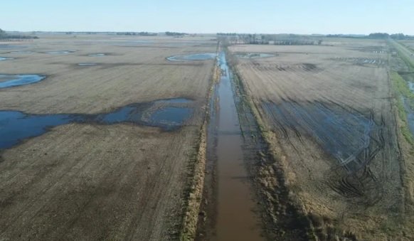 Gobierno nacional declara estado de emergencia agropecuaria para sectores clave del partido de Necochea
