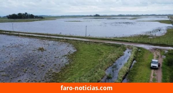 La Cámara Portuaria advierte que el Súper Niño podría costar más de un millón de toneladas de producción